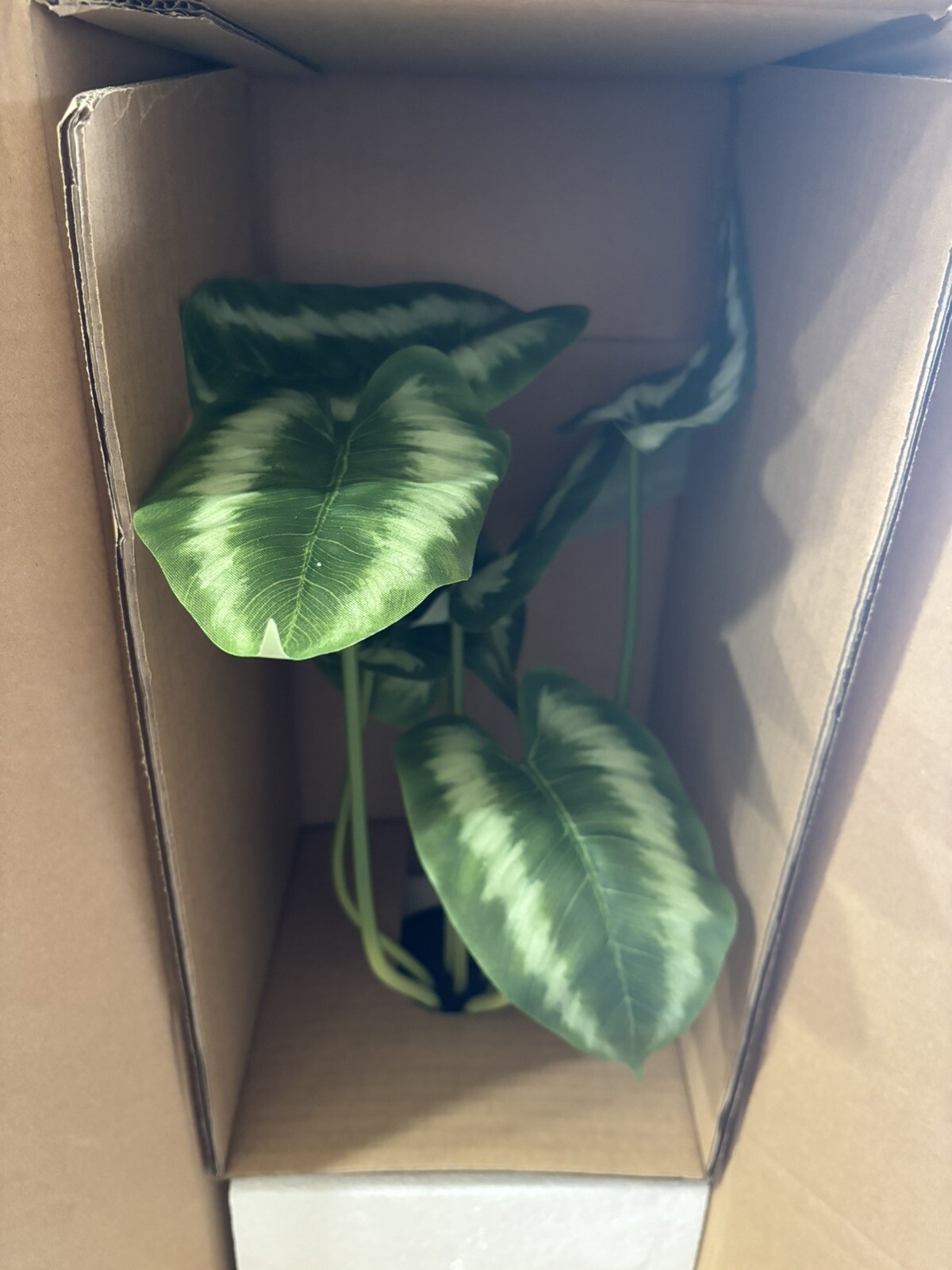 Pottery Barn Faux Striped Leaf Houseplant Retired