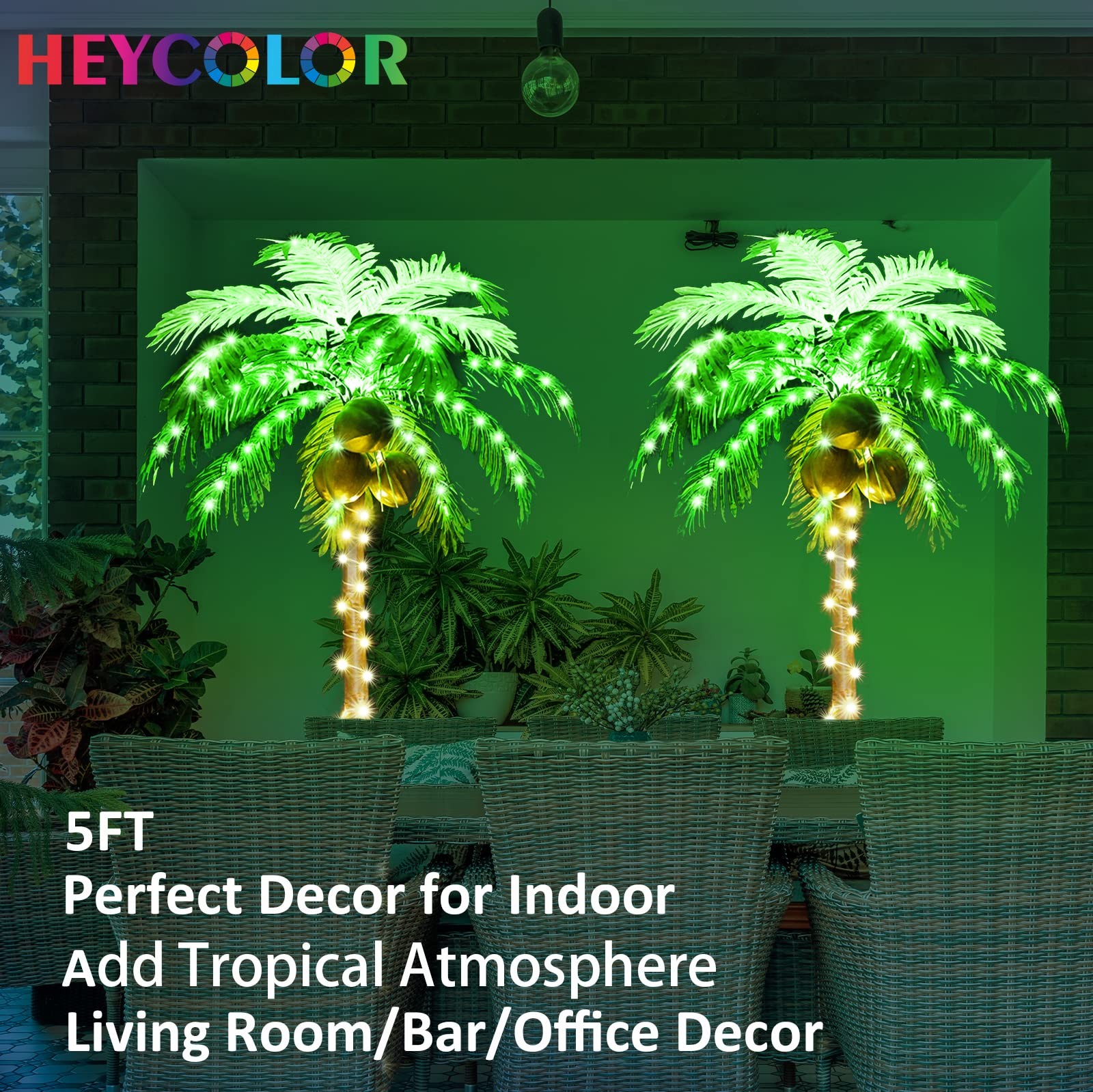 HEYCOLOR 5FT LED Lighted Palm Tree with Coconuts Outdoor Artificial Palm Tree Pr