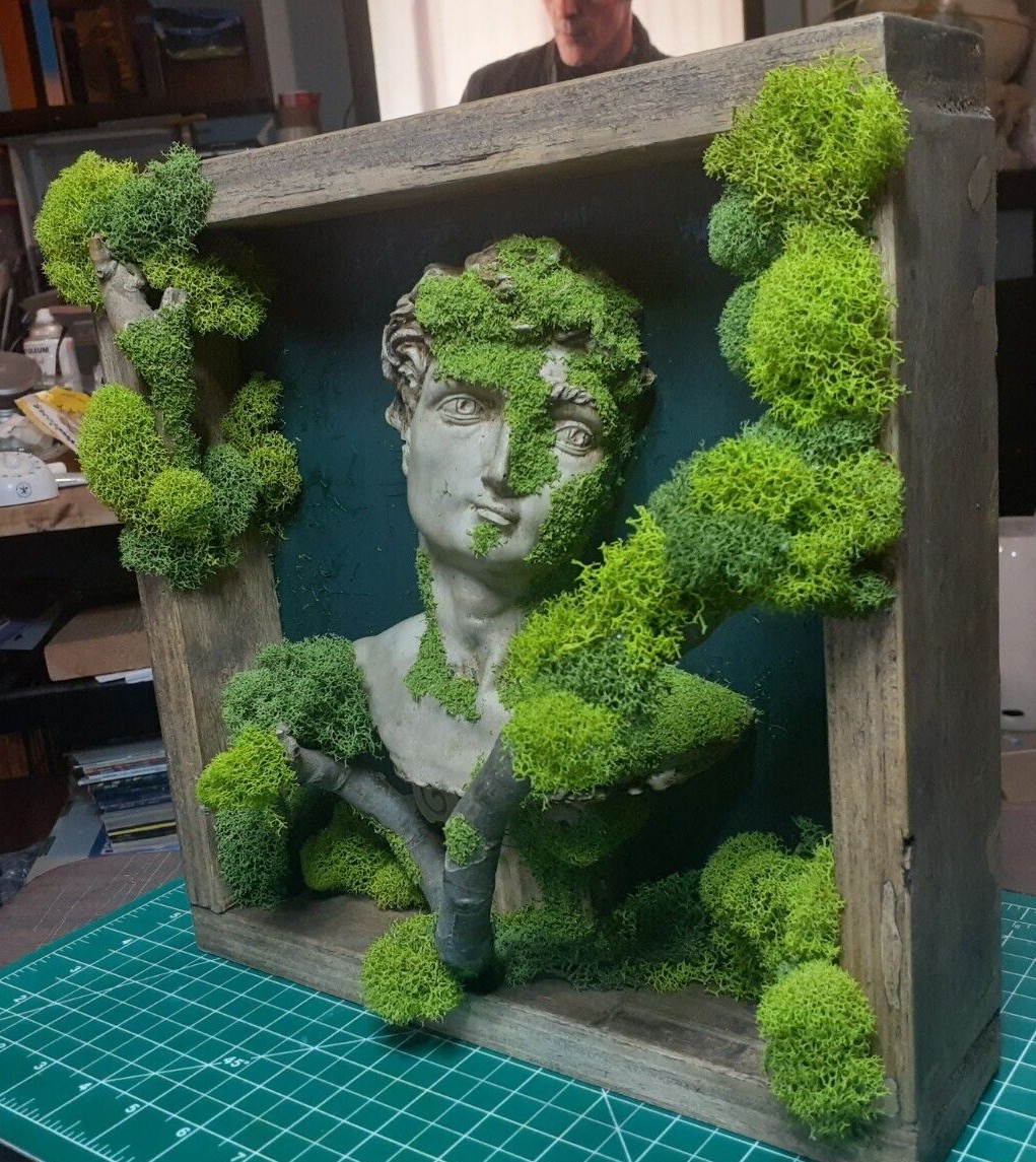 Reindeer Moss/ THE DAVID Forest Shadow Boxes 12″ x 12″ x 3″ inches