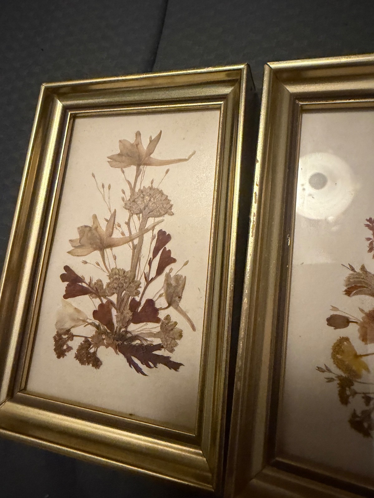 Set 3 Vintage Reichlin Switzerland Dried Flower Arrangements Gold Picture Frame