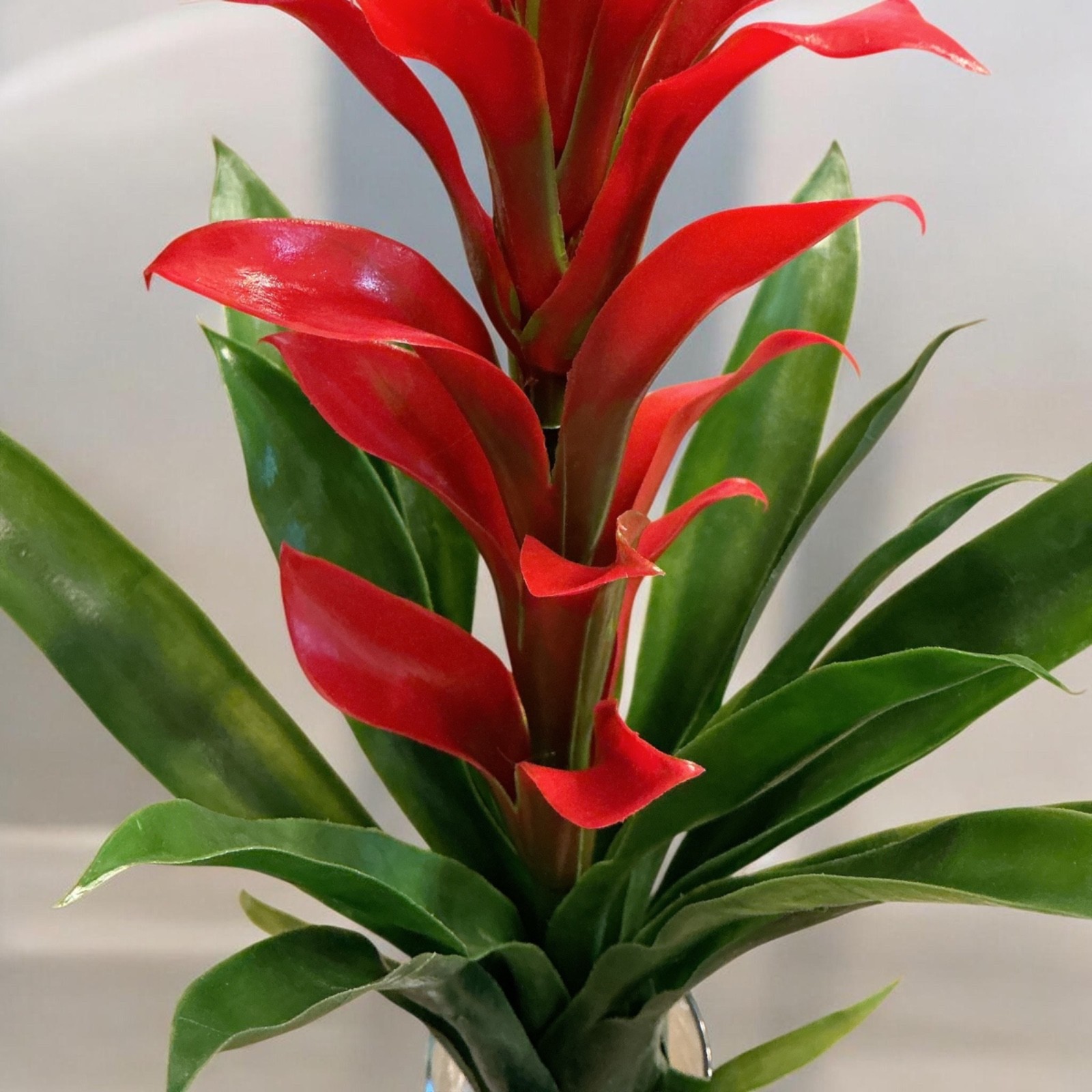 10” Bromeliad faux Flower Stems Red Green Leaves Natural Set Of 4