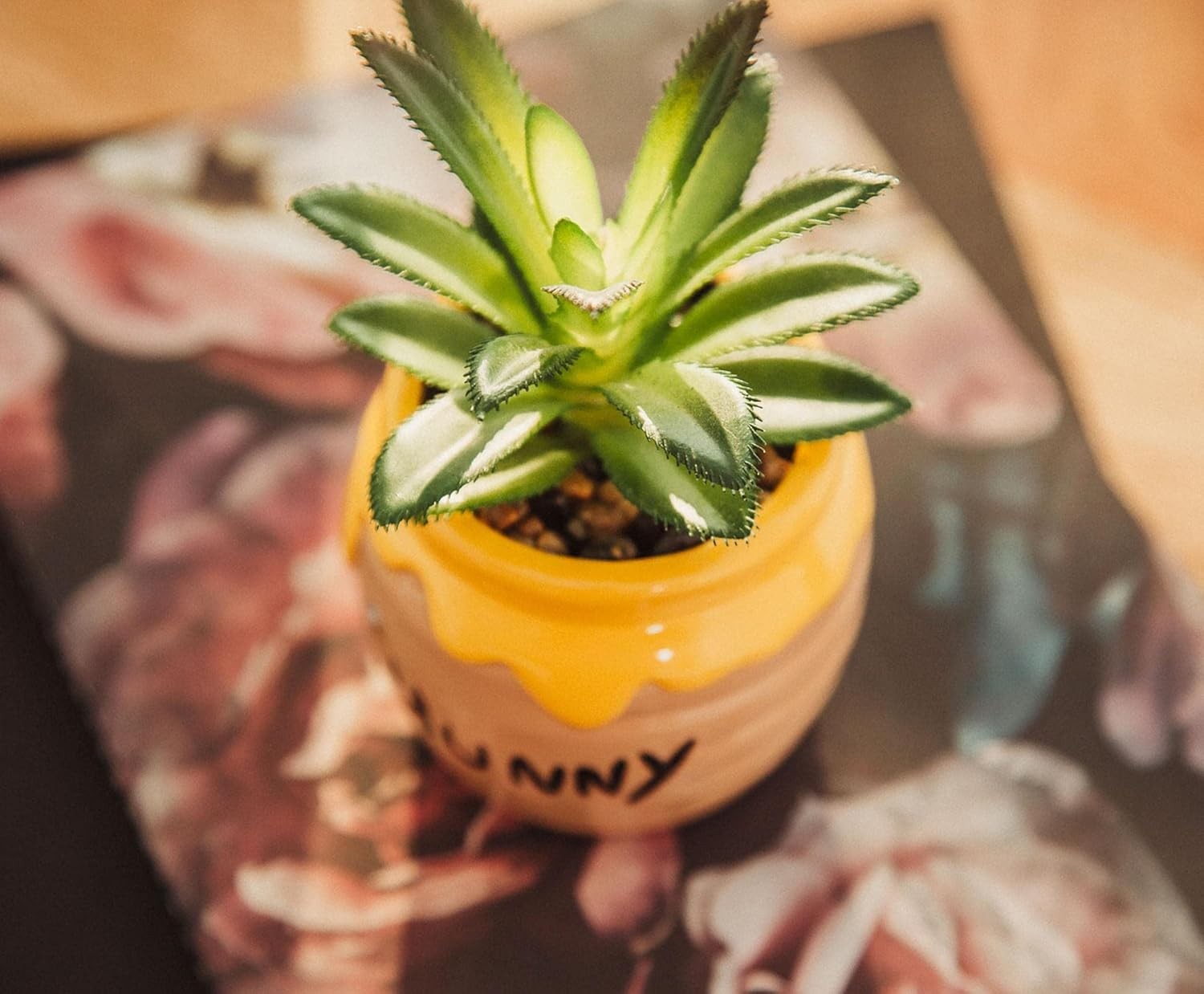 Disney Hunny Pot 3-Inch Ceramic Mini Planter with Artificial Succulent | Smal…