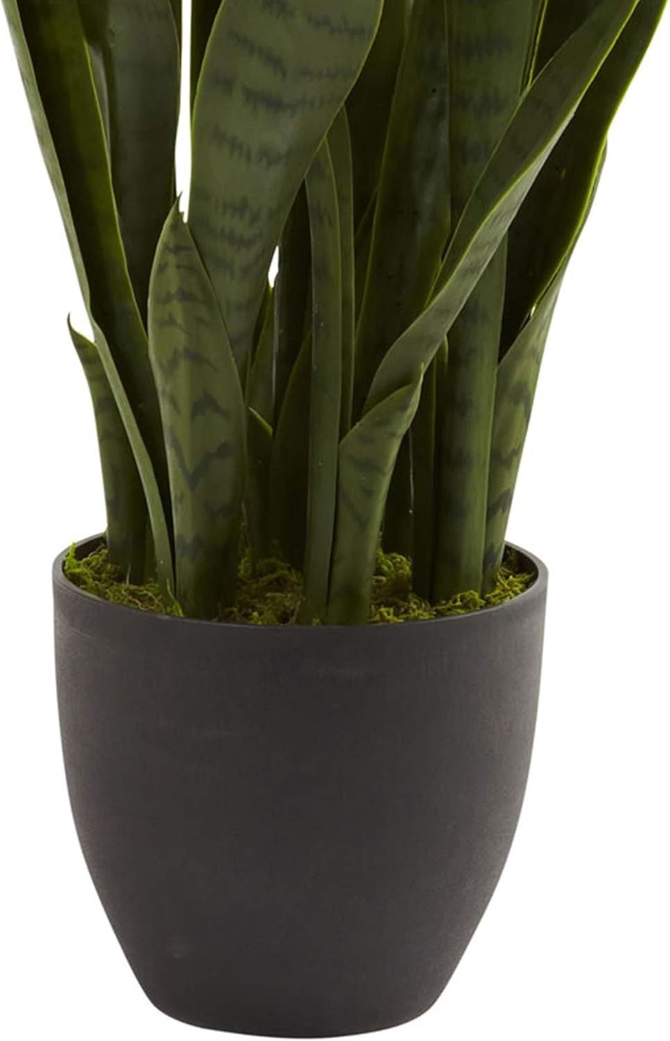 Versatile 35 Inch Sansevieria Plant for Home or Office – Black Planter Included