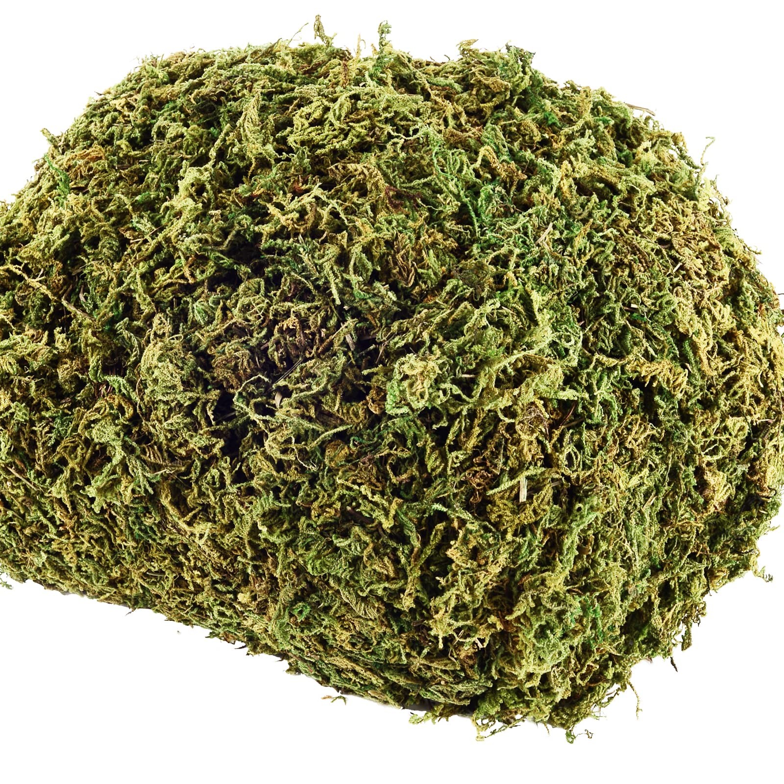 18 OZ Artificial Moss for Potted Plants & Fake Plants – Faux Decorative Moss …