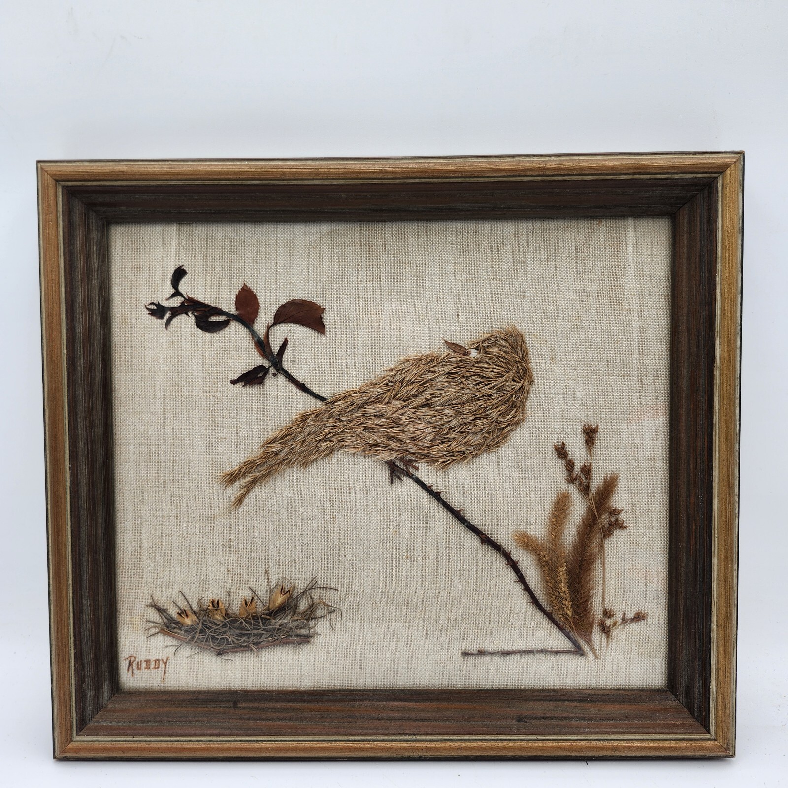Vintage dried pressed flowers weeds taxidermy wall art bird 14 x 16 wood frame