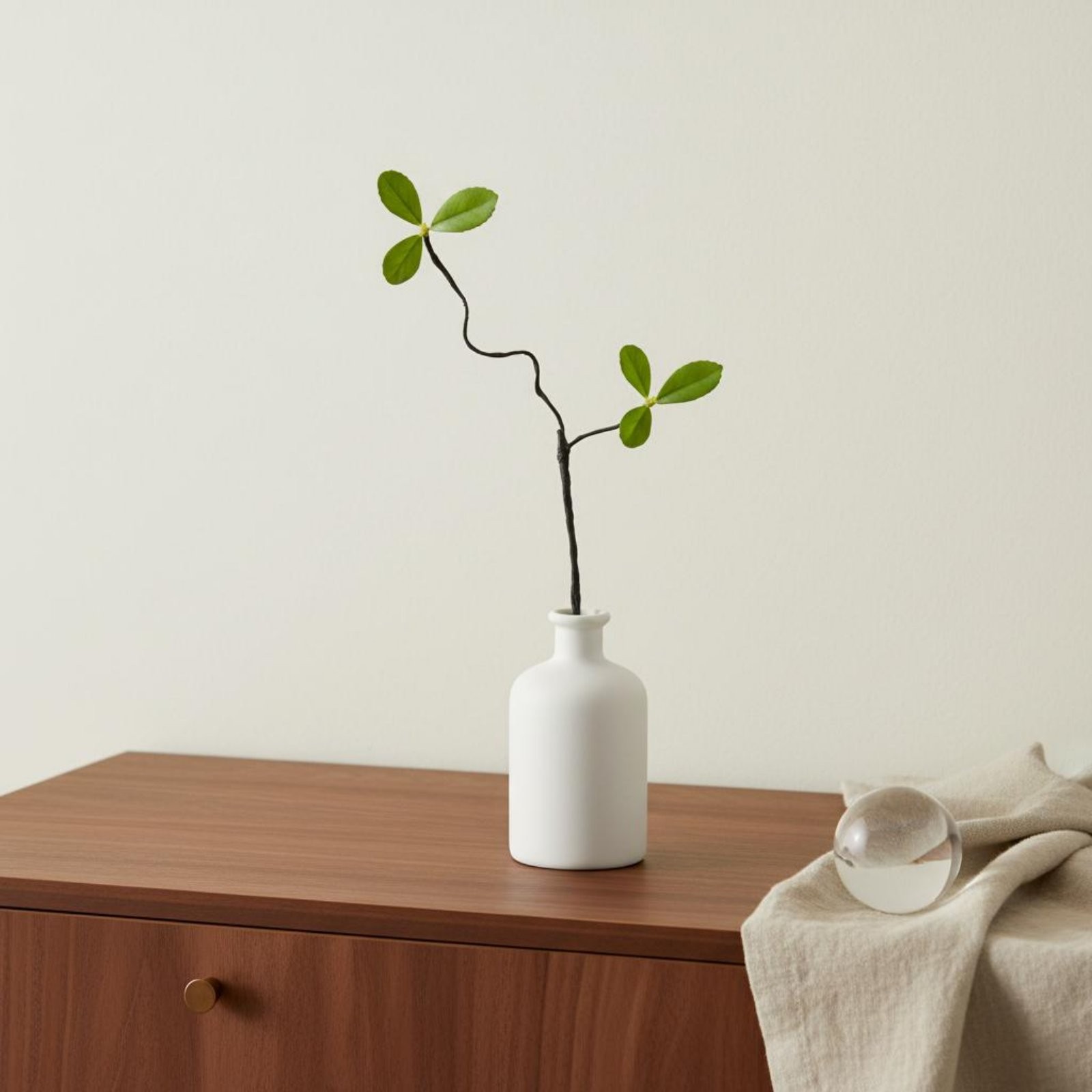 Decorative Artificial Branch European Design Simulation Dried Twig for Florists