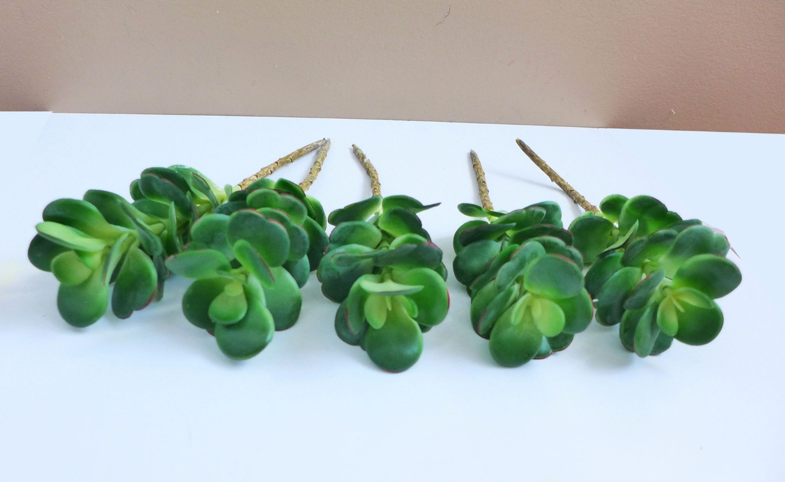 5 Desert Grass Plastic Plants Lifelike Artificial Fork Grass