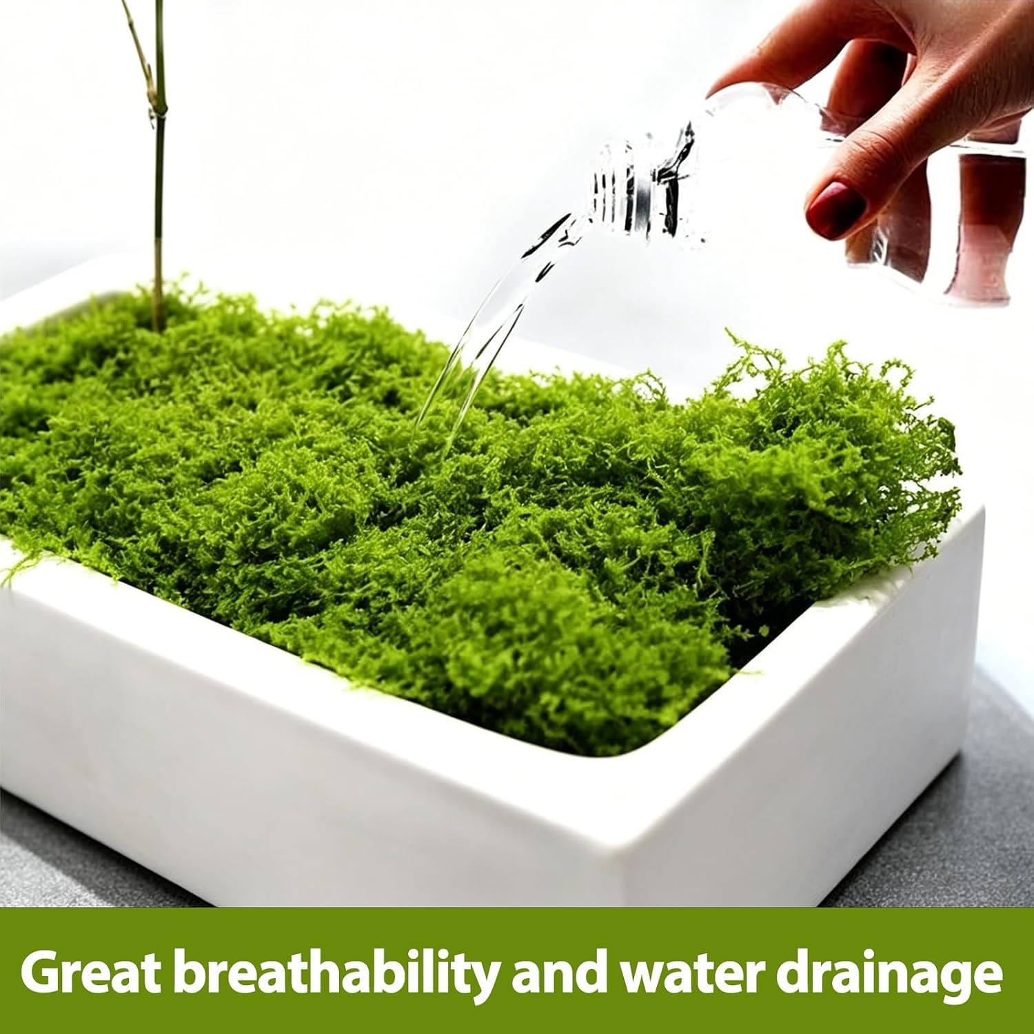 Artificial Green Moss Mat 200g Faux Moss for Terrariums Bonsai Fairy Garden