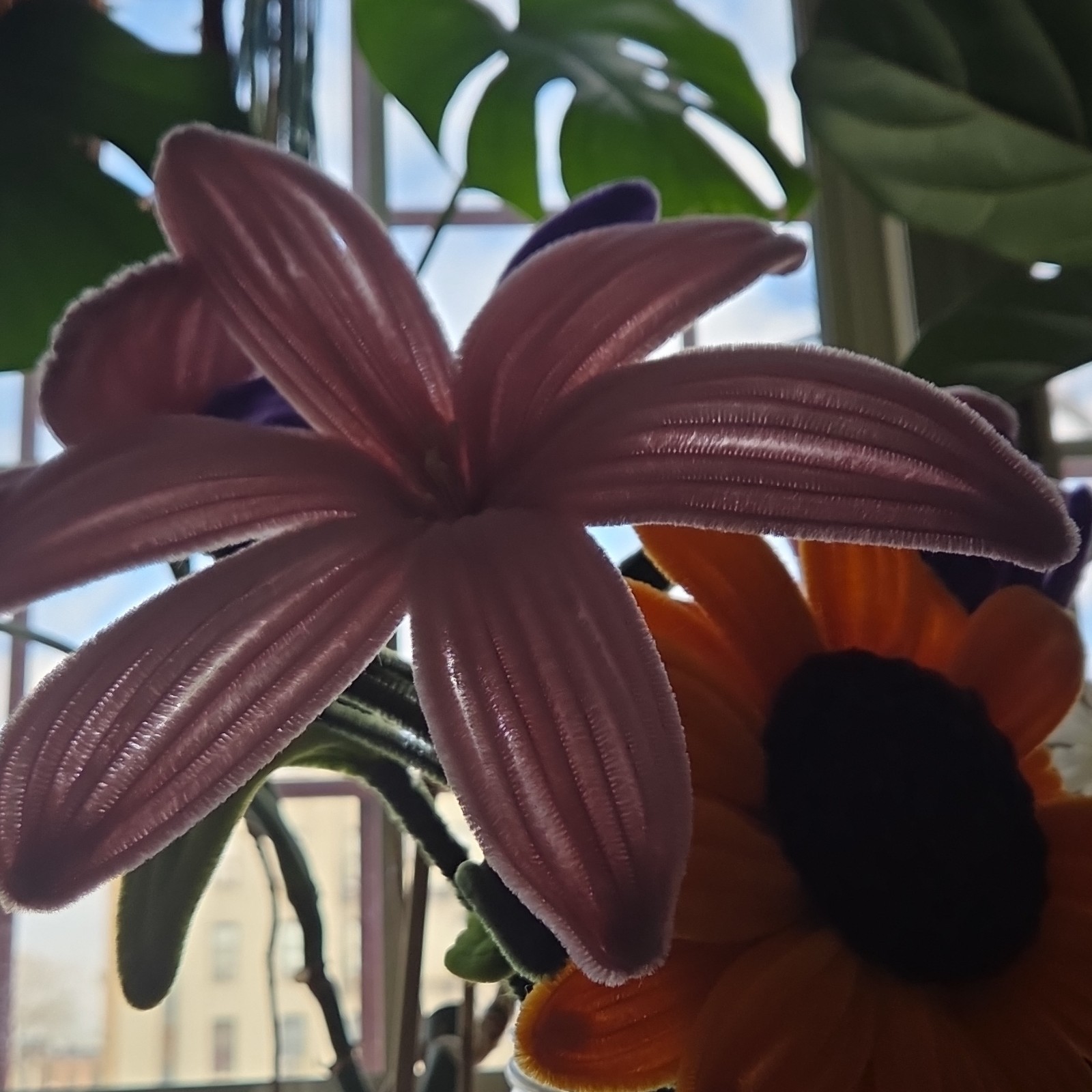 pipe cleaners Flower Bouquet Lily Sunflower Pink Purple Orange Yellow Décor