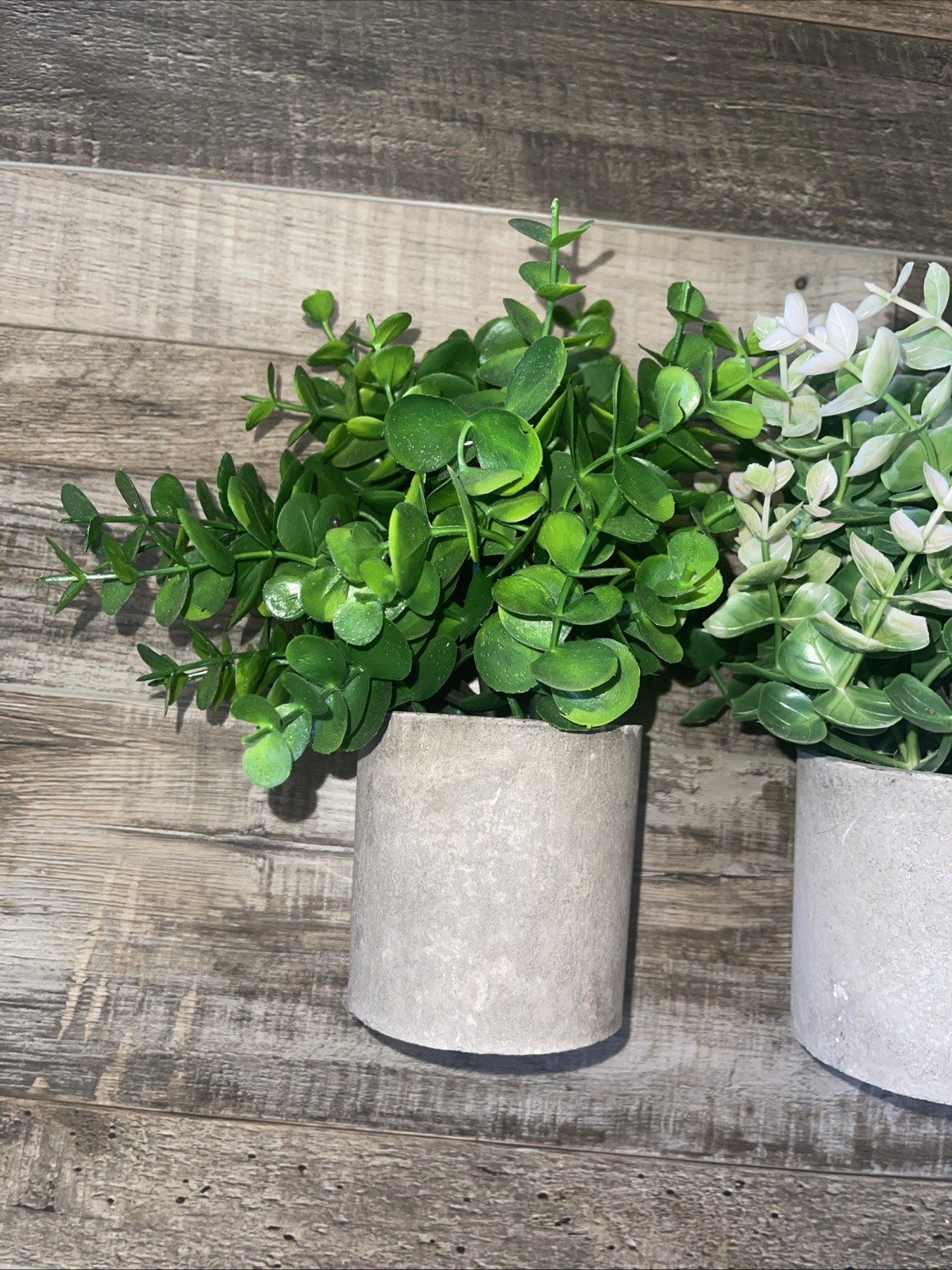 3Pcs Small Fake Plants Desktop Succulents Table Centerpiece Mini Potted -NEW