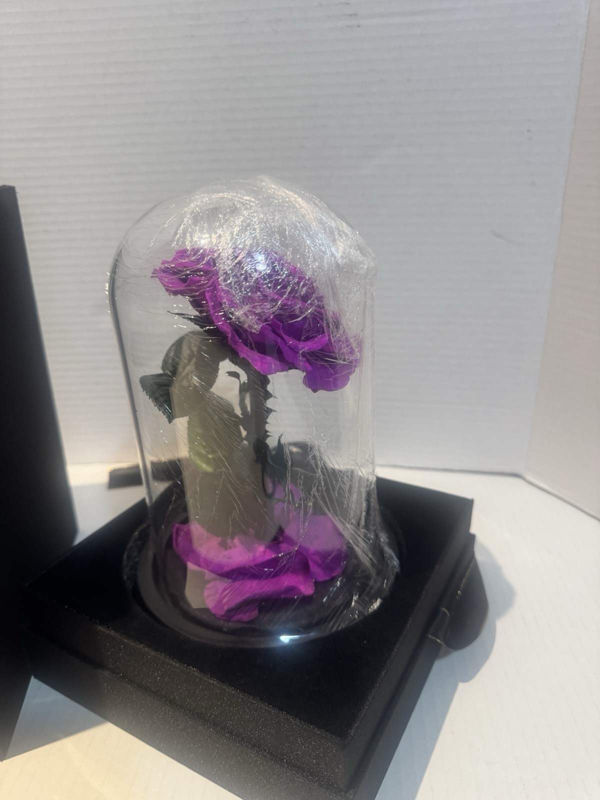 Forever Preserved Rose-Eternal Purple in Glass Dome-Disneys Beauty and The Beast