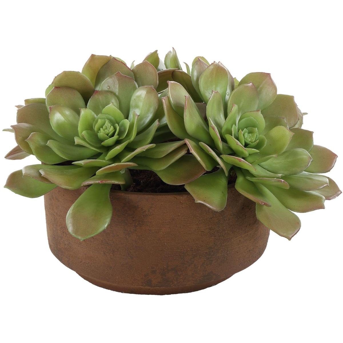 Uttermost 60267 Sable Succulent Terracotta and Green Accent In Pot