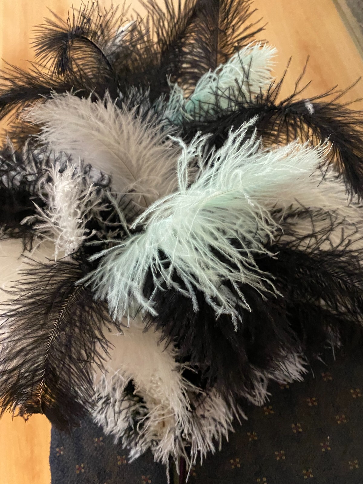 First grade ostrich feather display 95grm white – black ostrich mint feathers