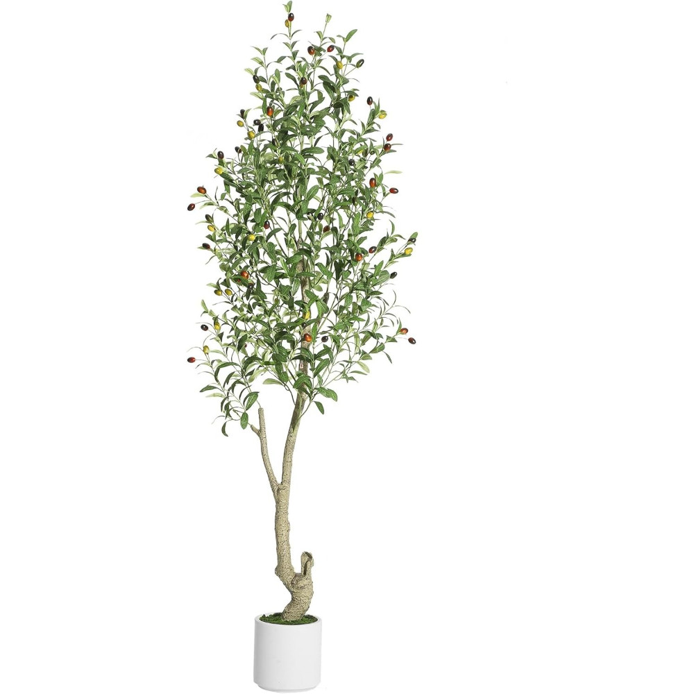 6FT Artificial Olive Tree Indoor W/ Natural Trunk &White Planter for Home Office