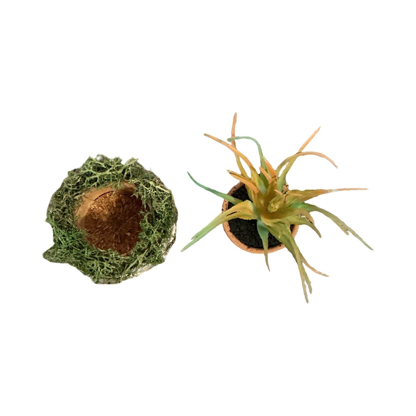 Handmade Artificial Succulent in Birch Log with Moss Rustic Woodland Home Decor