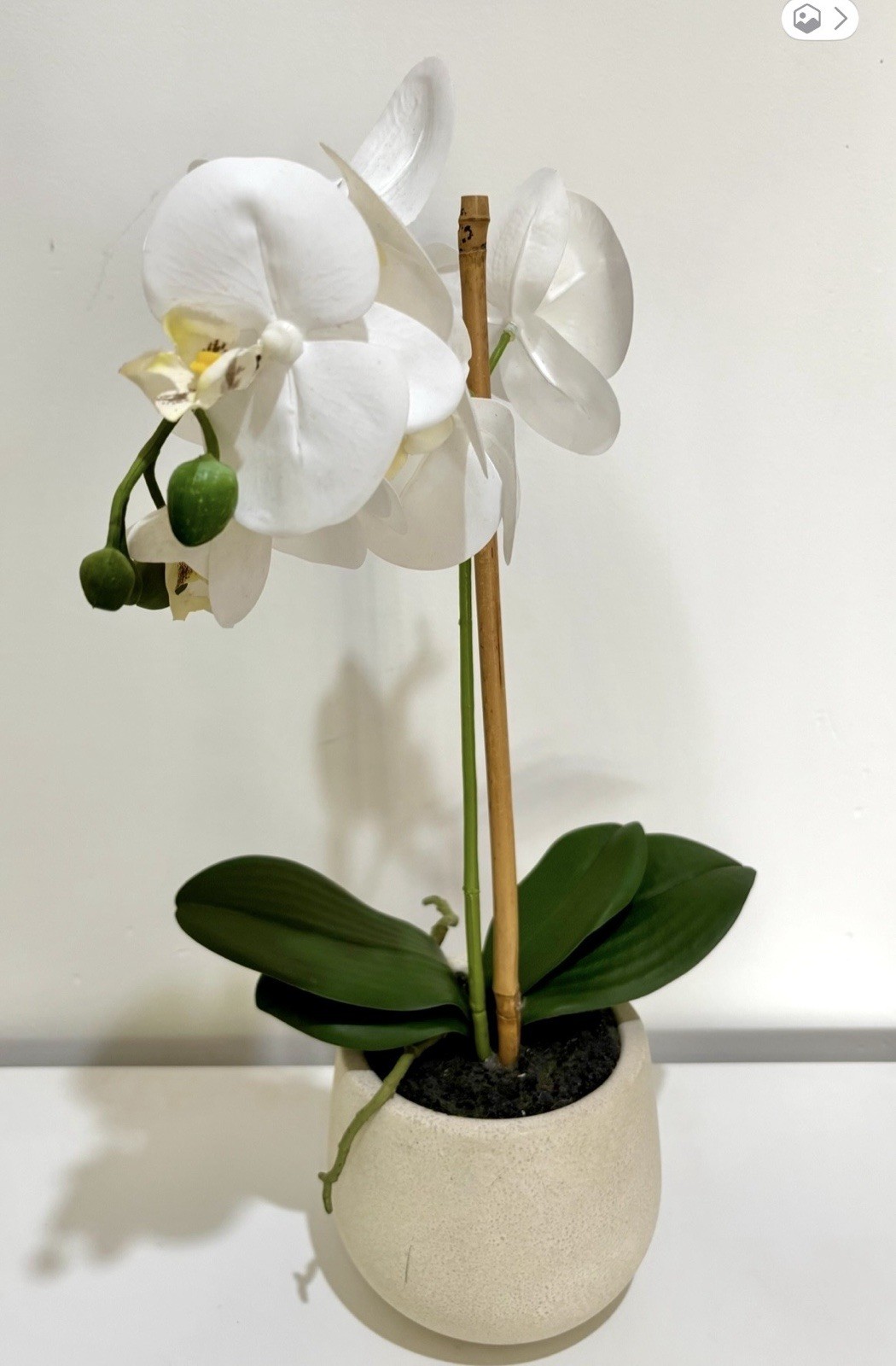 Beautiful Artificial Phalaenopsis Orchid In Pot White Multiple Flowers