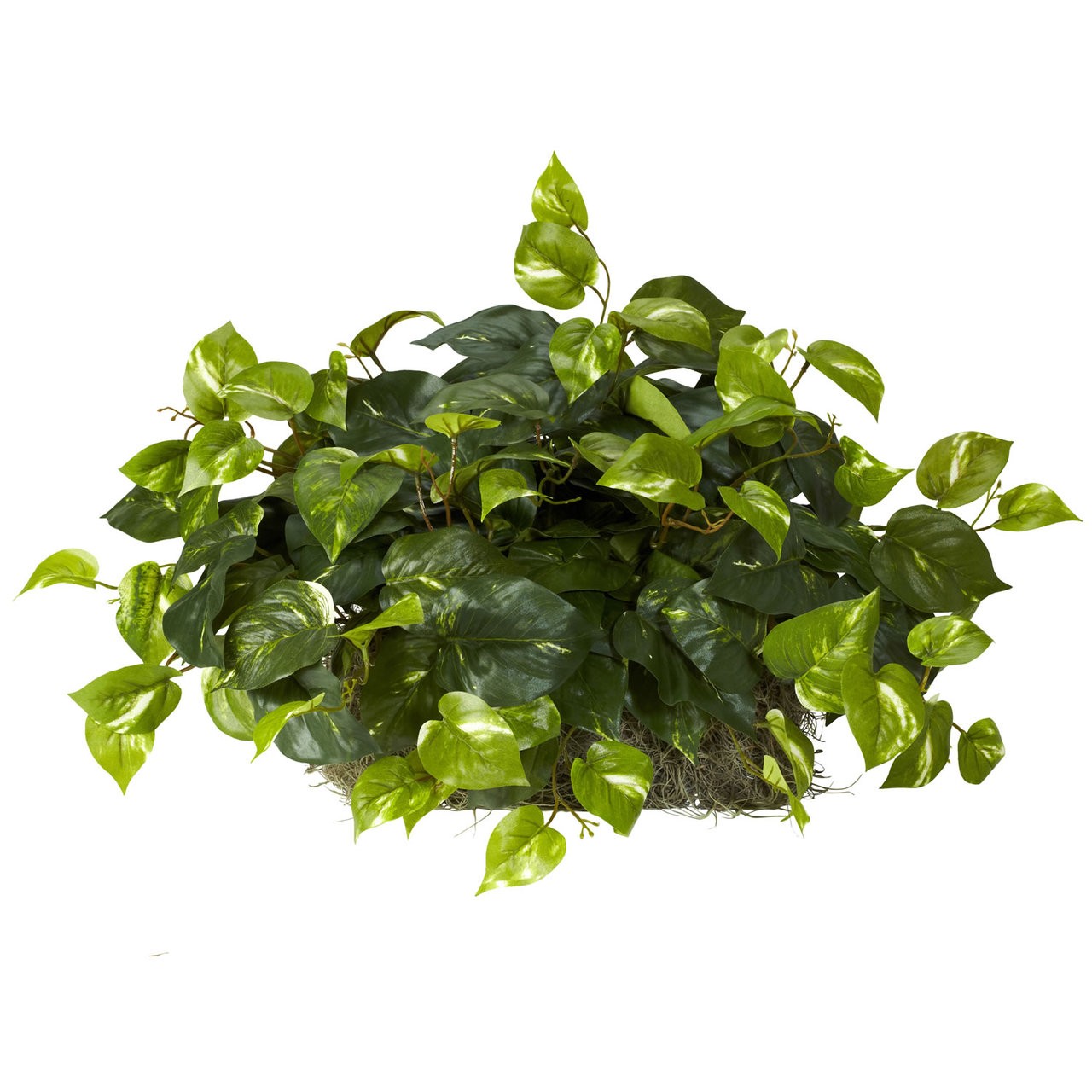 Pothos Ledge Silk Plant – (Set on Foam)