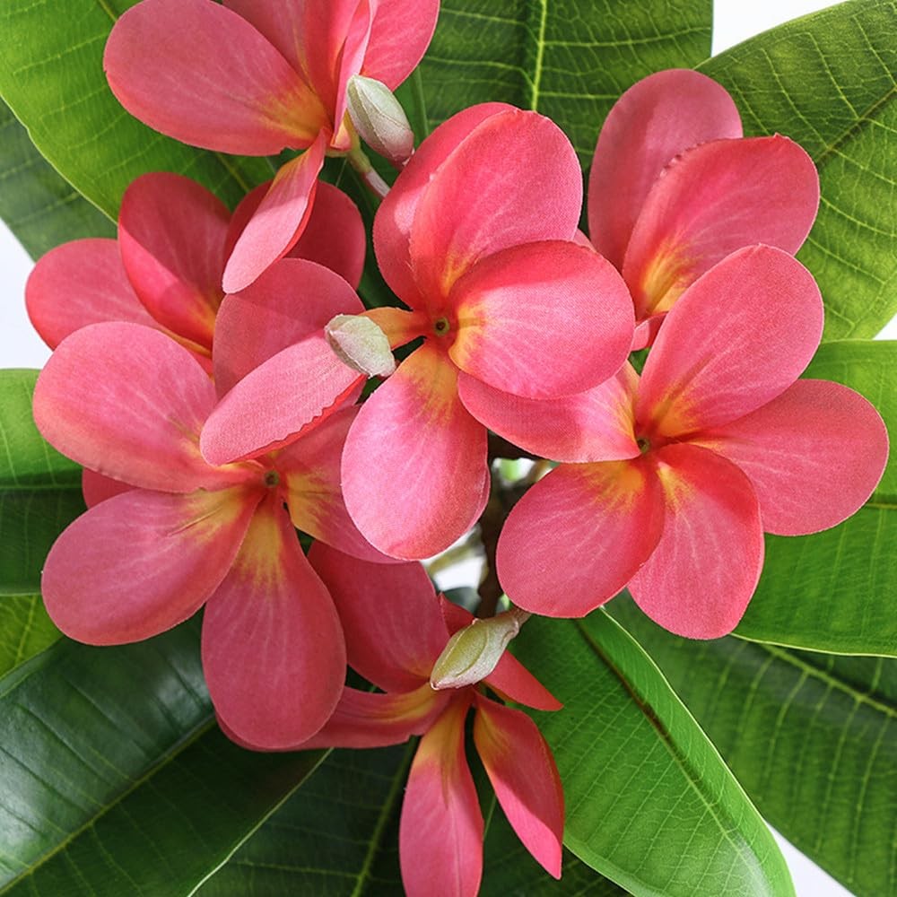 35.5 Inch Artificial Flowers Artificial Frangipani Flower 2 Stems Lifelike Re…
