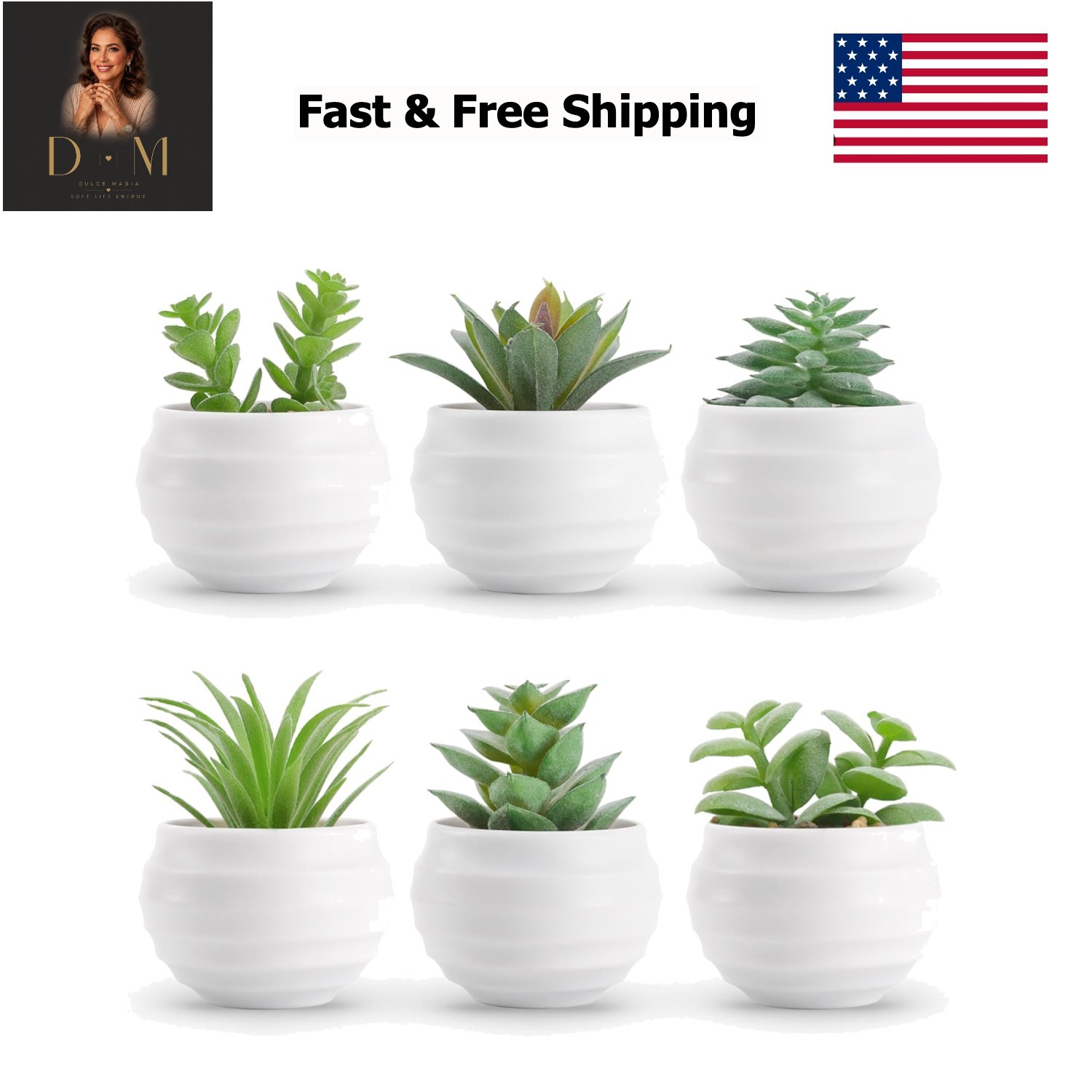 Set of 6 Succulents Plants Artificial in Pots Small Fake Plants for Bedroom A…