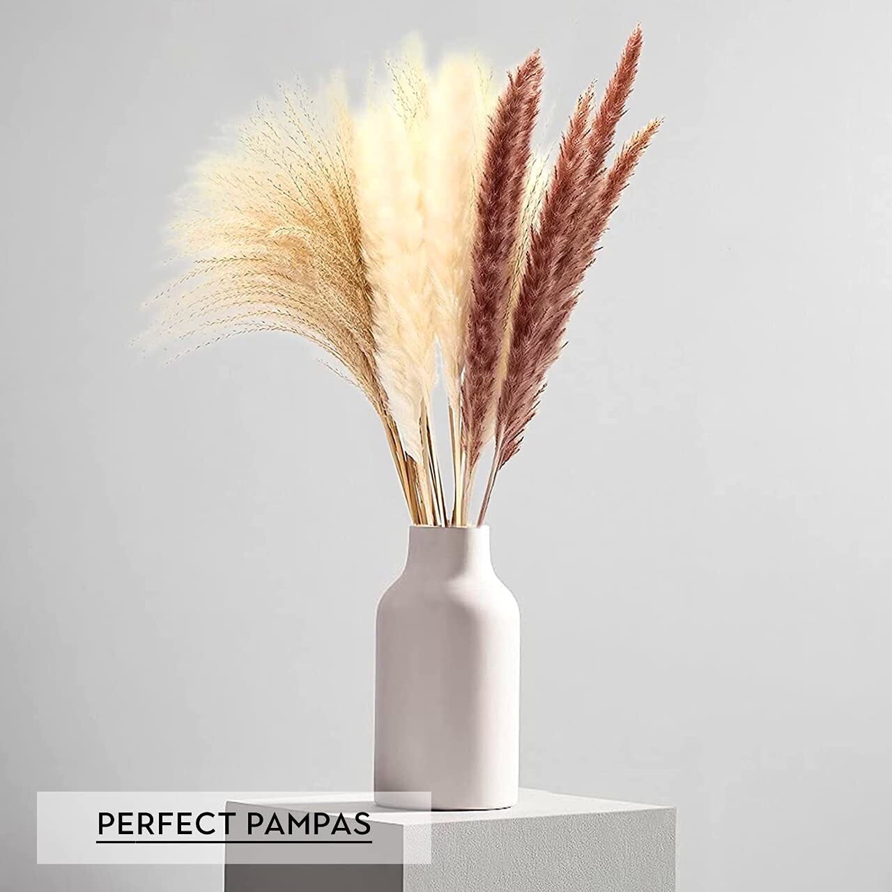 Green Empire 60pcs (15pcs Brown Pampas & 15pcs White Pampas 30pcs Reed Grass)