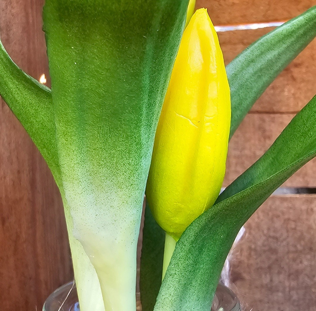 Real Touch Artificial Tulip in a vase FAKE WATER flowers LOOK REAL Spring Decor