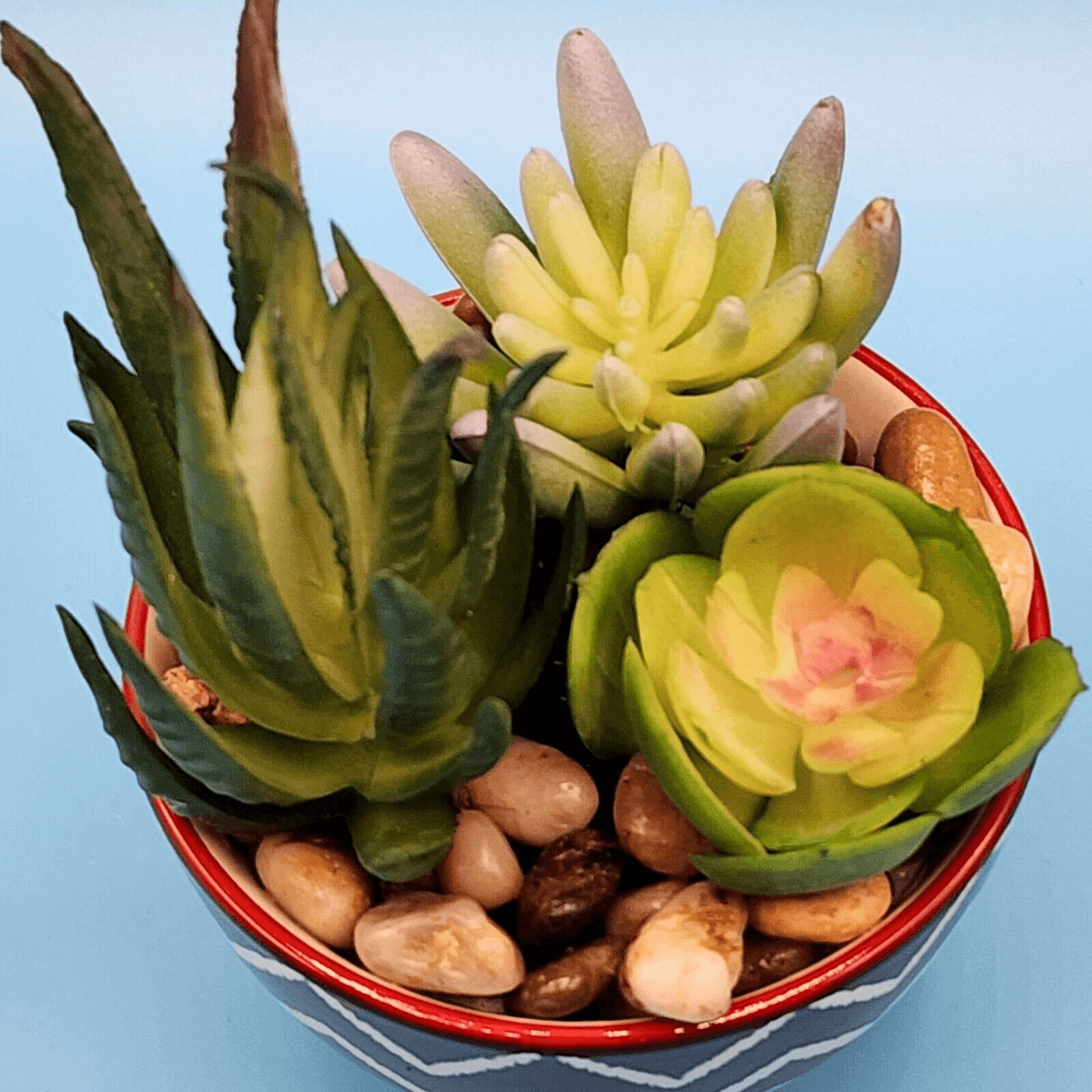 Faux Succulent Simulated Potted Plant Black White Red Chevron Pot Rock Accents