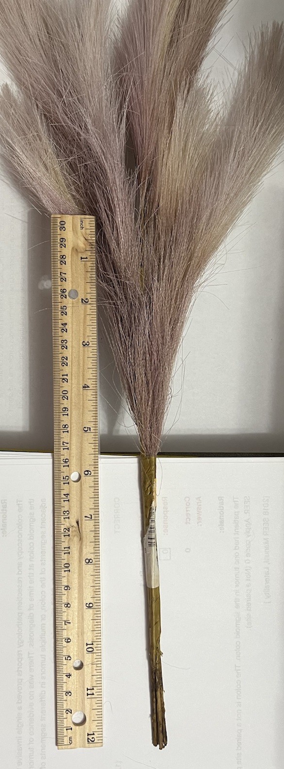 Ansemble of Faux Pampus Grass Bohemian Style Floral Arrangements about 5 Sprigs