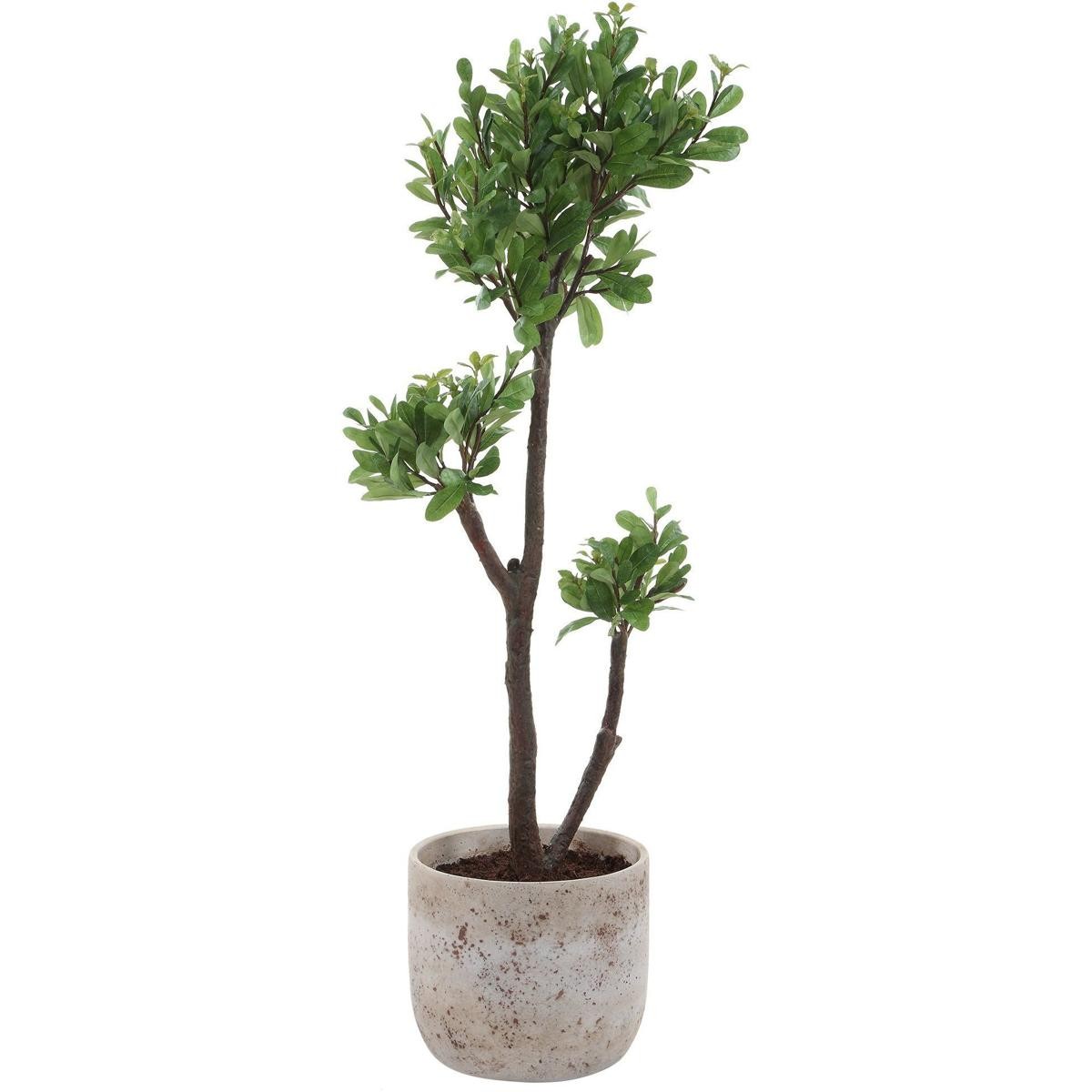 Uttermost 60266 Arbor Strawberry Aged Ivory and Green Tree