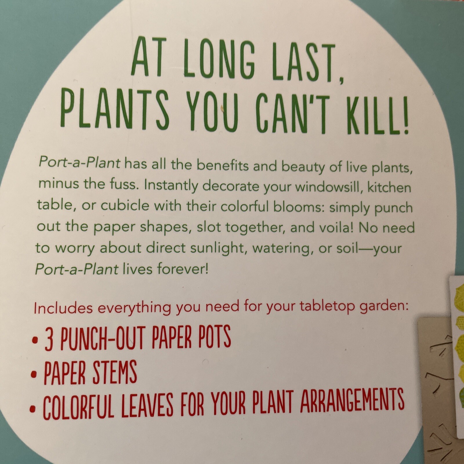 Port-A-Plant: Punch-Out Plants for Instant Decor With Paper Stems, Colorful