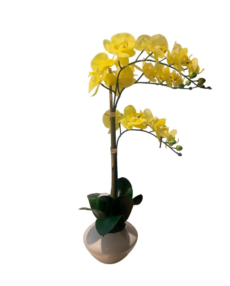 Faux Orchid Yellow In White Ceramic Vase 27.5” Tall X 15” Wide Decorative
