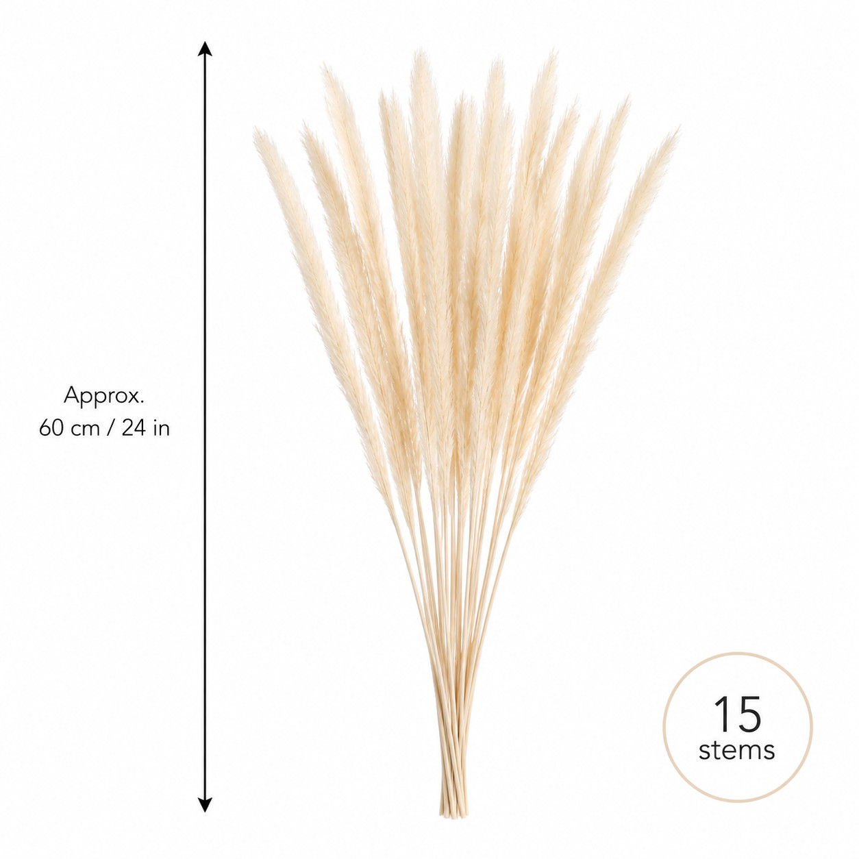15 Stems Natural Dried White Pampas Grass Boho Wedding Home Decor 24in