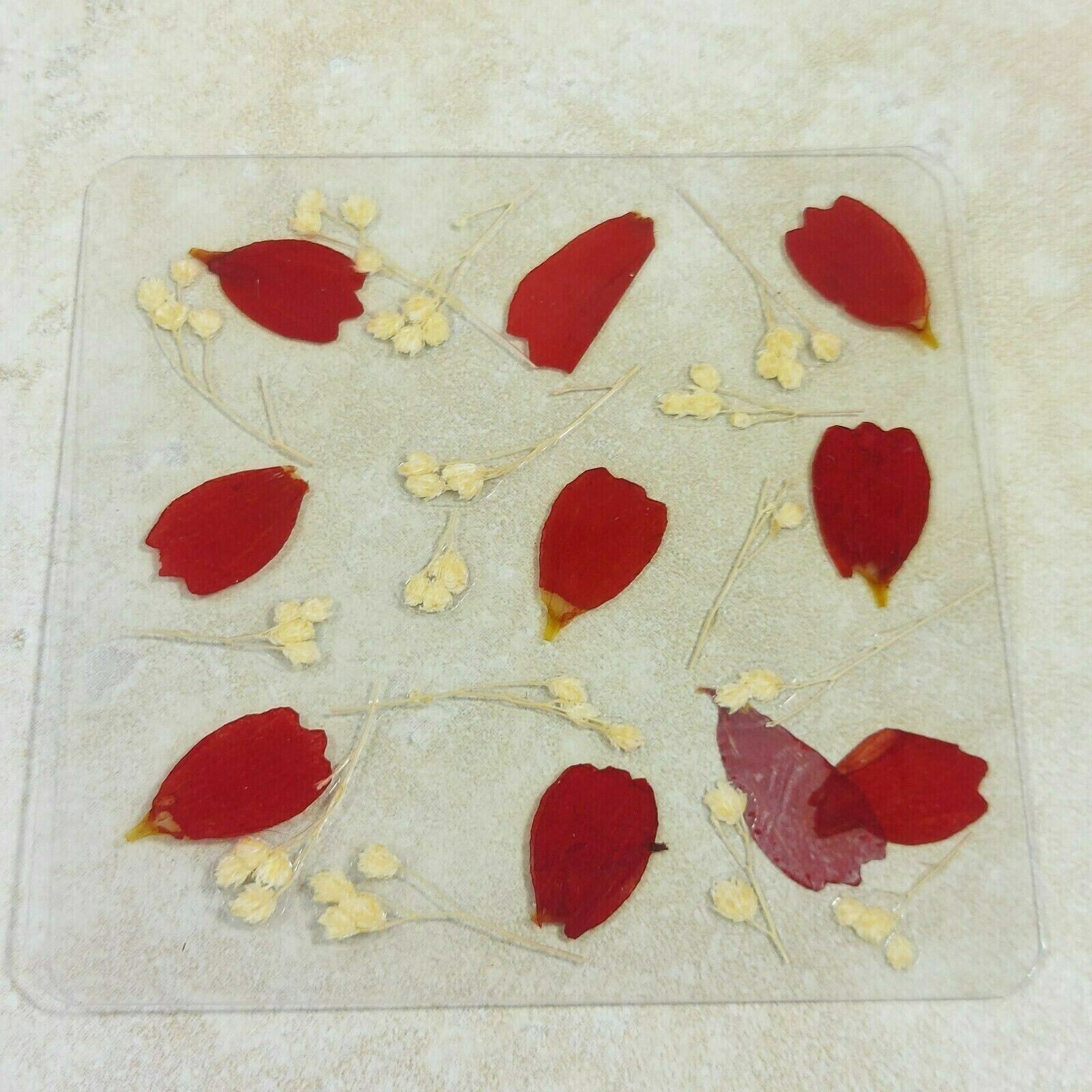 Dried Pressed Flowers Natural Flower Petal Set Resin Art Design Home Décor Gift