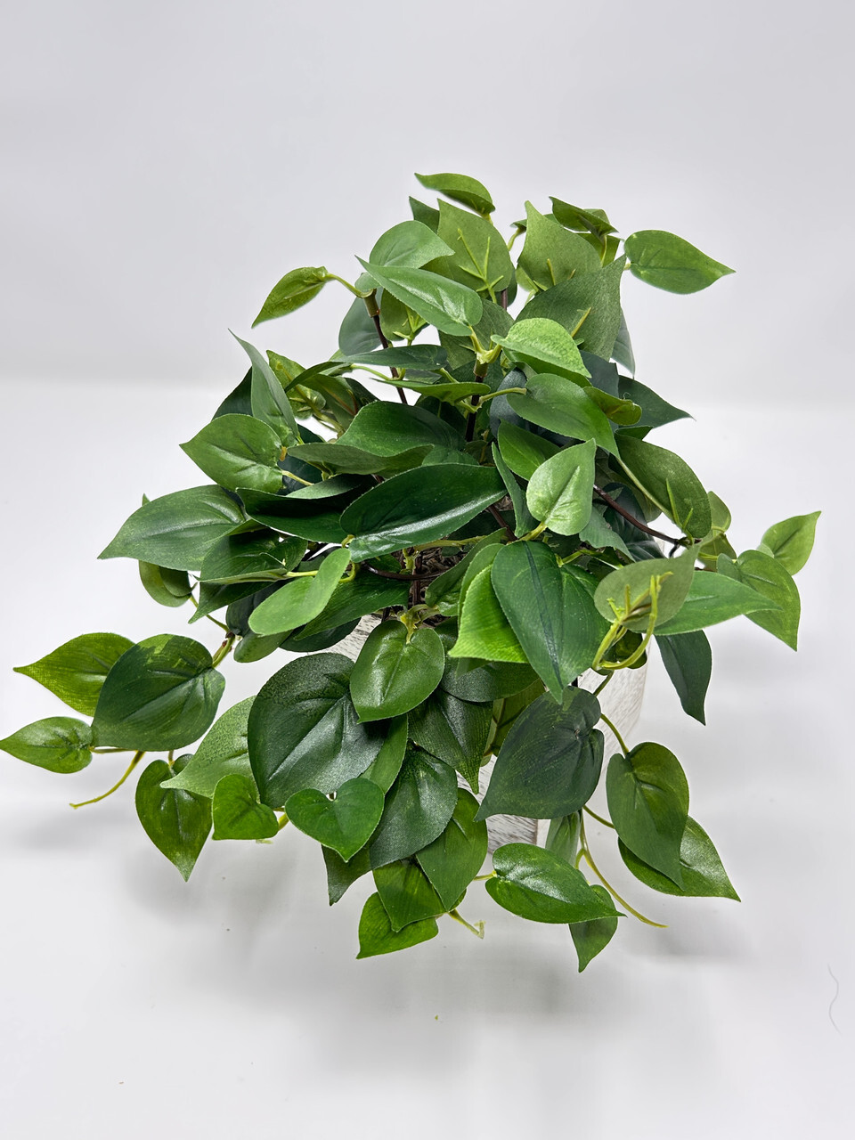9″ MED Potted faux Green Pothos Vine Silk plant in White wood box – Home Decor