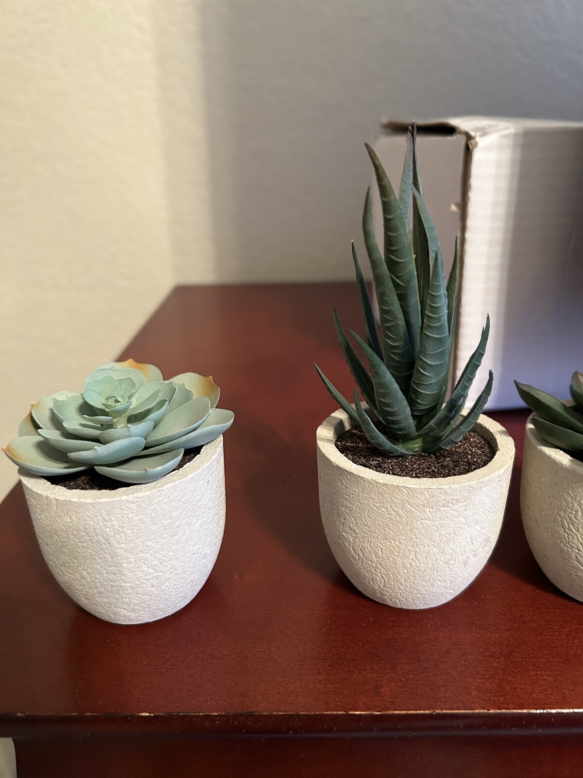 Artificial Succulents with Gray Pots – Set of 5 – New in Box
