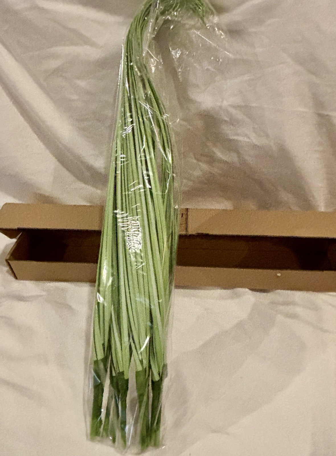 10Pcs-Decorative floral Green Plant stems, #30