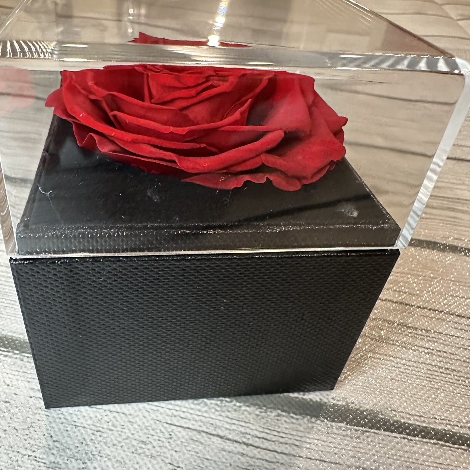 REAL Preserved Eternity Forever Rose Luxury Box Holiday Wedding Gift & Necklace