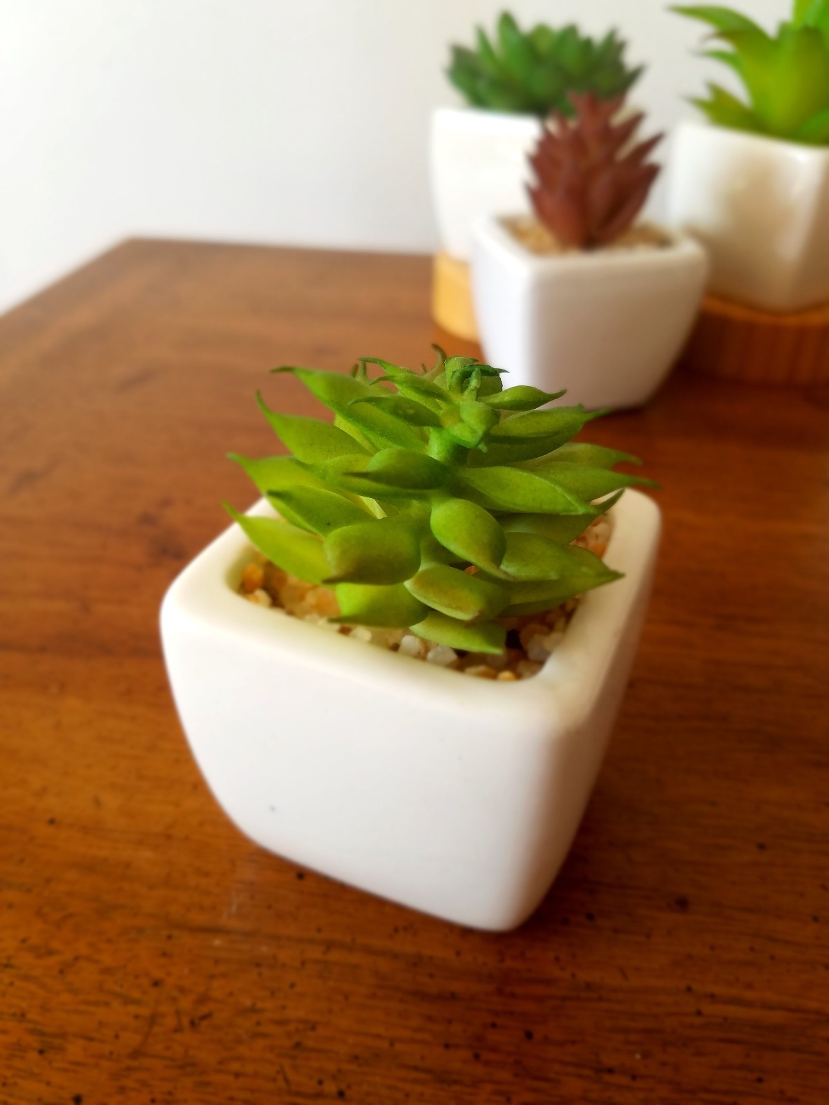 Party Favor Artificial Succulent Set in White Ceramic Pot Mini Plant Home Decor
