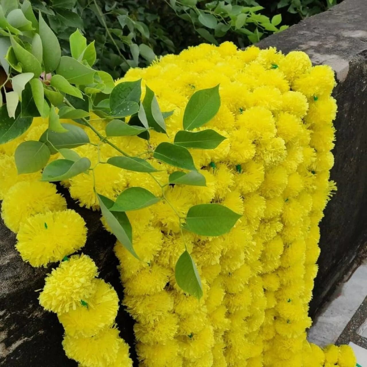 Artificial Marigold Flower Garlands Diwali Indian Wedding Decoration Yellow 5 ft