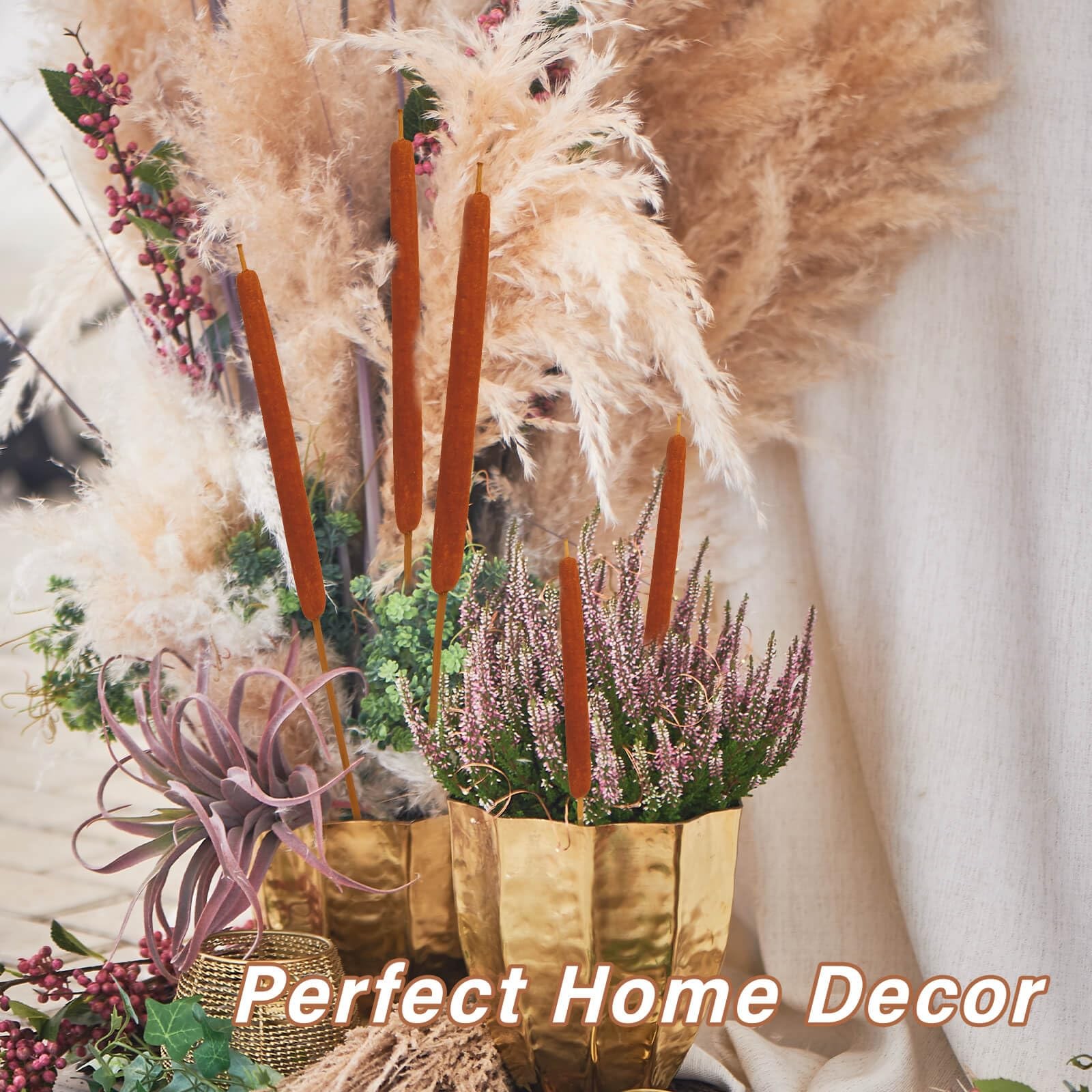 Dried Natural Brown Cattails Flowers – 20PCS Real Broadleaf Pencil Cattail St…