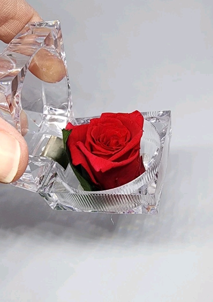 preserved Real red rose W Leaf In clear diamond shaped acrylic Ring box