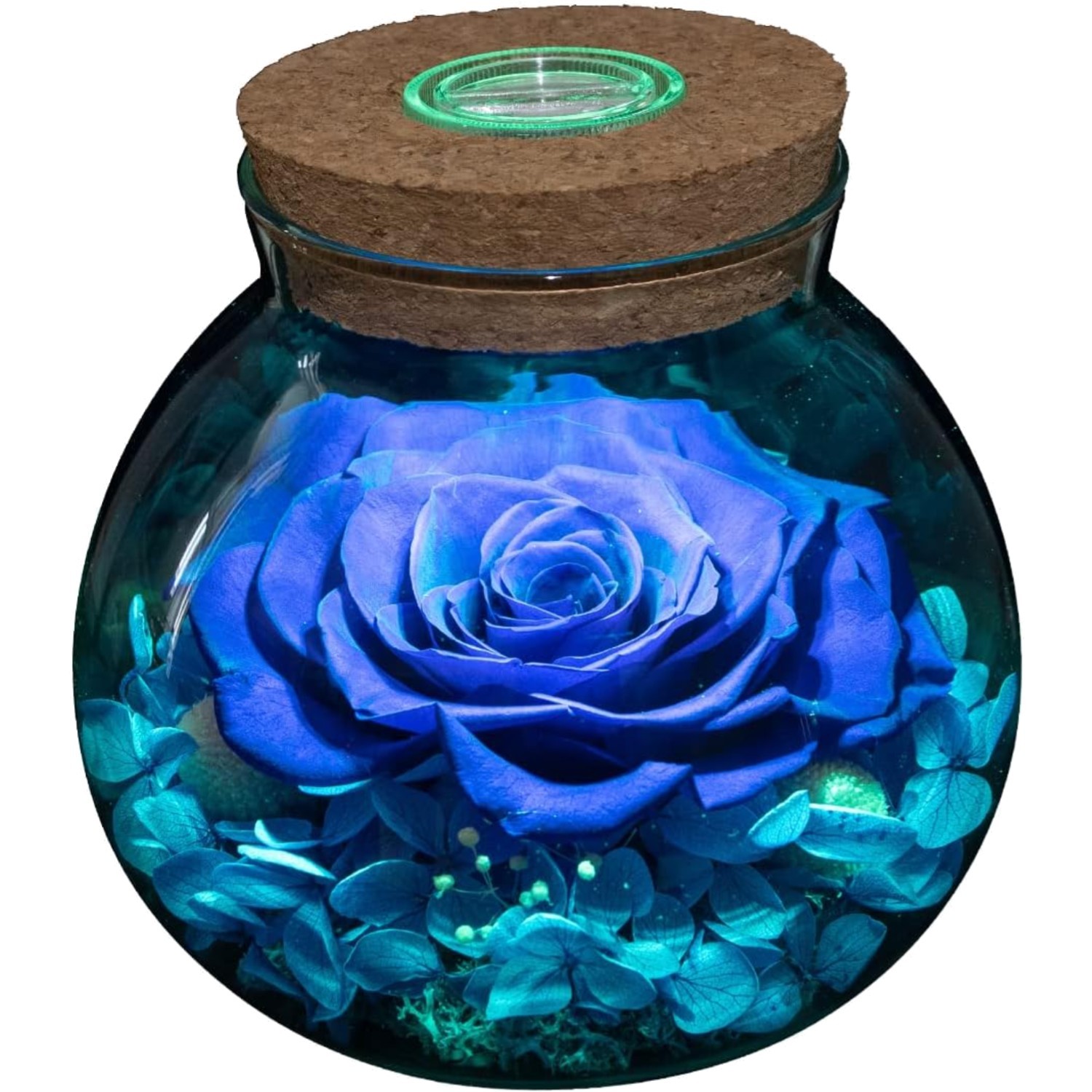 Blue Preserved Rose with LED Light, Glass Bottle