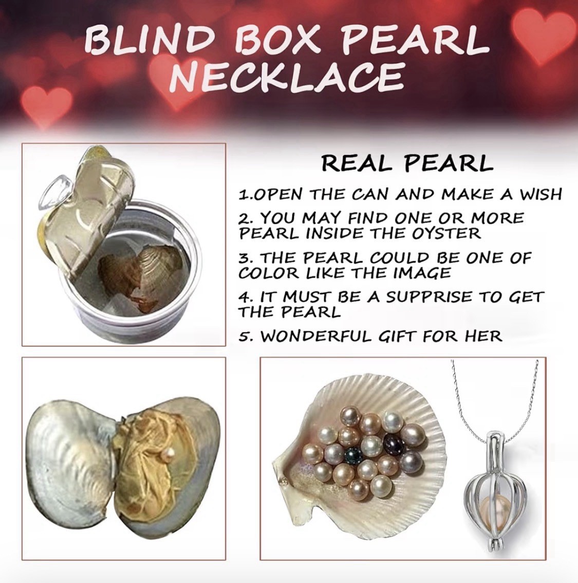 Flower White Rose Teddy Bear Clam+ Pearl Pendant Necklace Love Romantic Gift Set