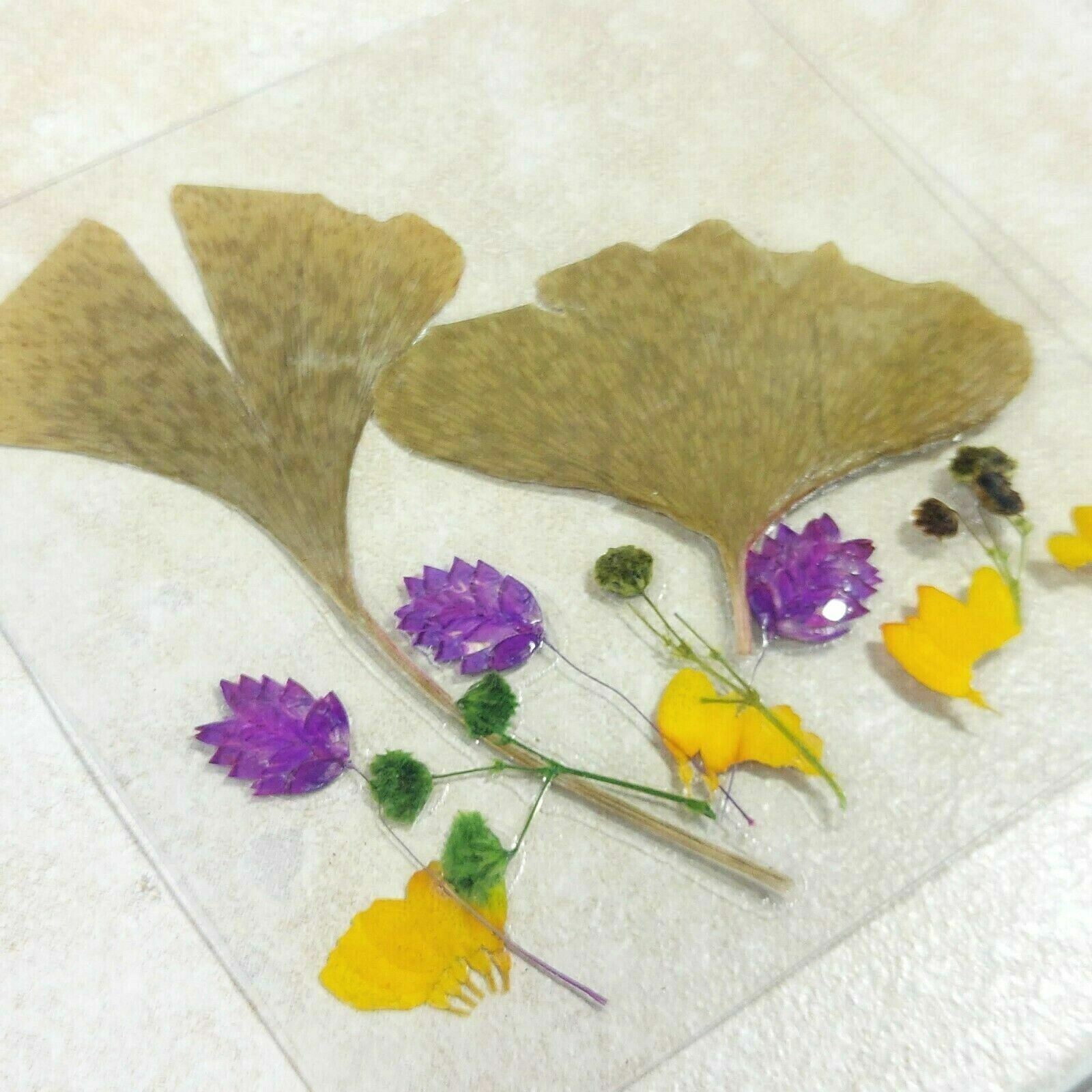 Dried Pressed Flowers Natural Flower Petal Set Resin Art Design Home Décor Gift