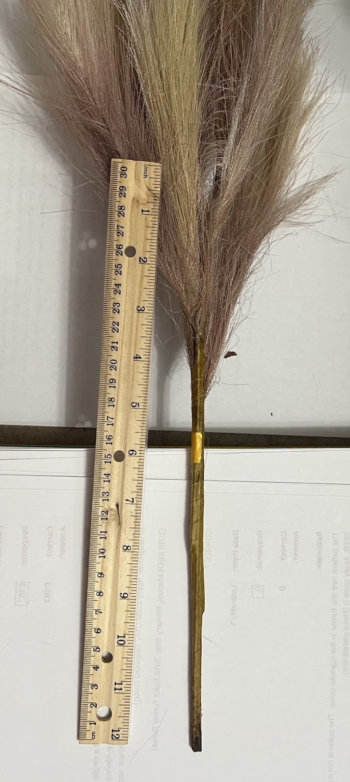 Ansemble of Faux Pampus Grass Bohemian Style Floral Arrangements about 5 Sprigs