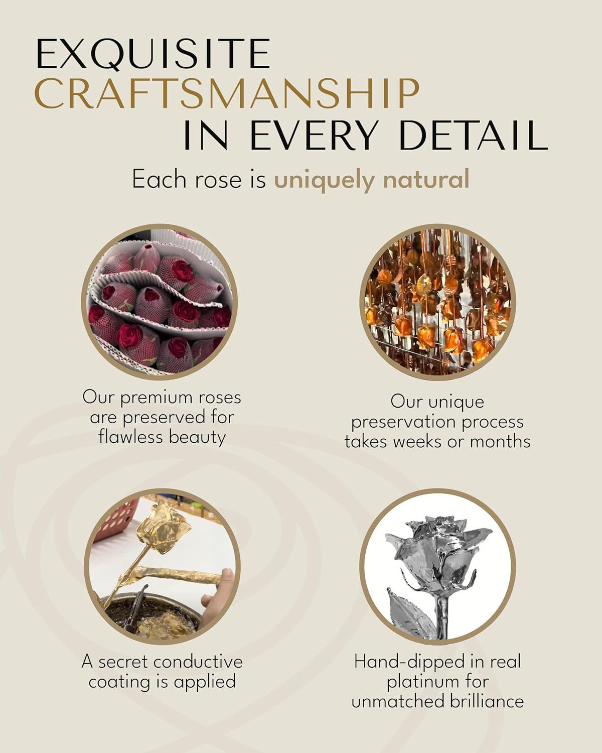 Real Rose Dipped in Platinum, Handcrafted Preserved Rose in Luxury Gold Gift Box