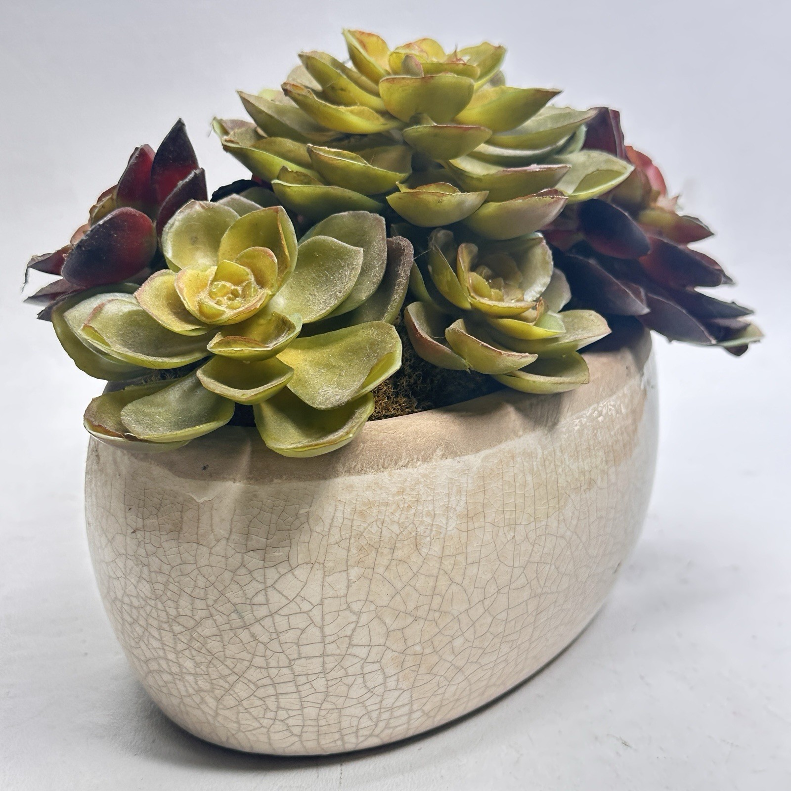 Faux Succulent Plants In Hammered Metal Container 5 In X 6 Inch Looks Real