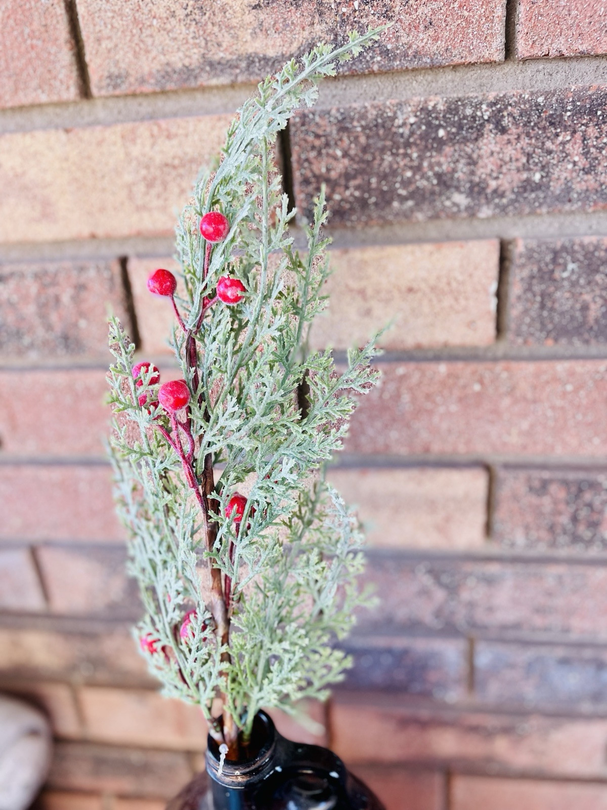 Snowy Cedar & Sugar Berry Spray