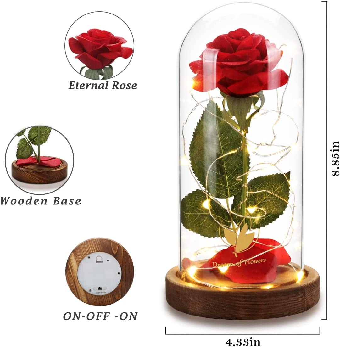 Valentines Day Gifts for Her Beauty and the Beast Rose,Red Rose in Glass Dome wi