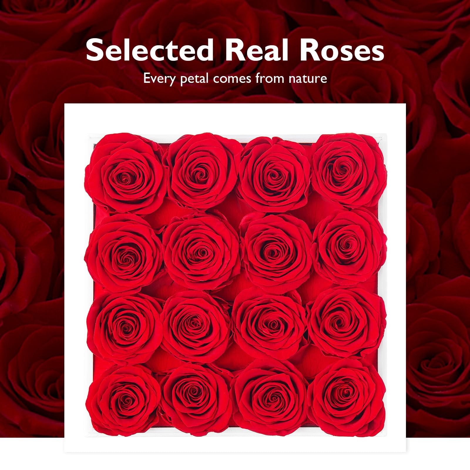 Eterfield Preserved Roses That Last a Year Eternal Rose in a Box Real Rose