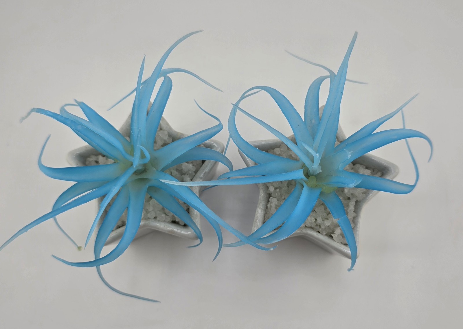 2 Faux Succulent Blue Tillandsia In Small Star Shaped Ceramic Pots 1 Damaged